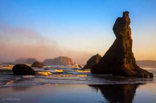 Bandon Beach-3157